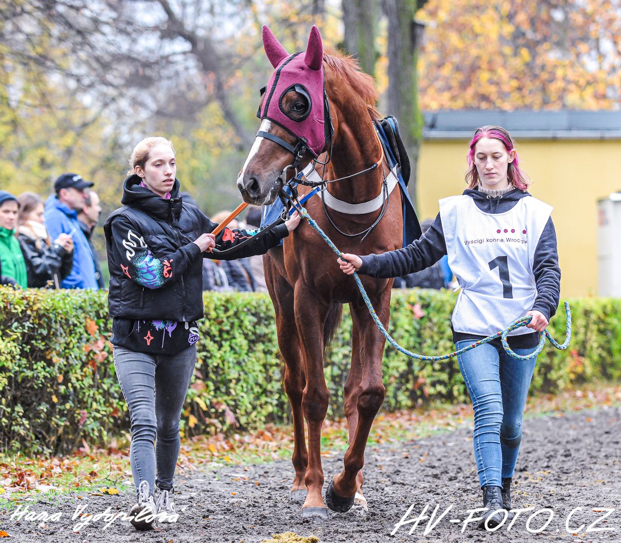 DSC_6189 kopie.jpg